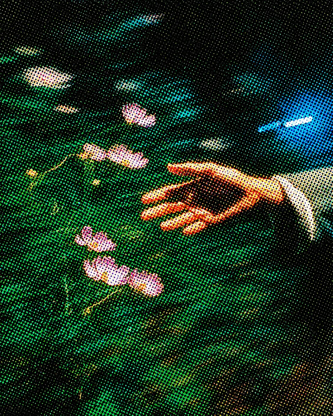 Halftone illustration of a hand reaching toward wildflowers in a green field
