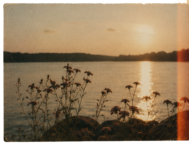 Golden light kept like a print