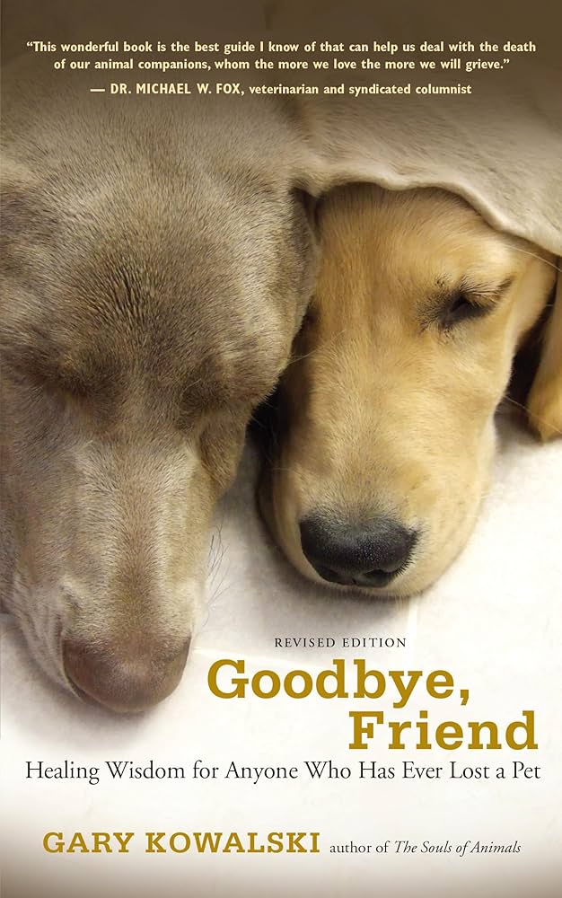 Goodbye, Friend cover