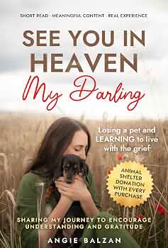 See You in Heaven, My Darling cover