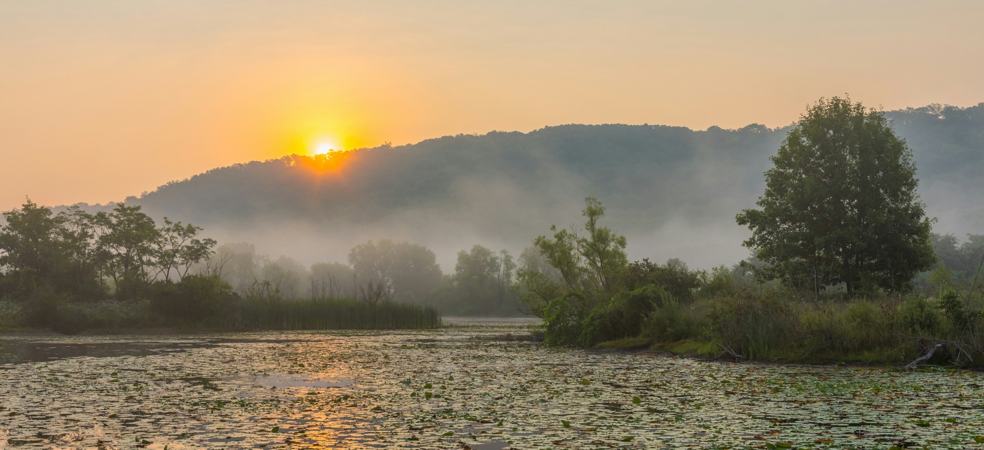 Navigating the Grief Journey: A Guide to Healing