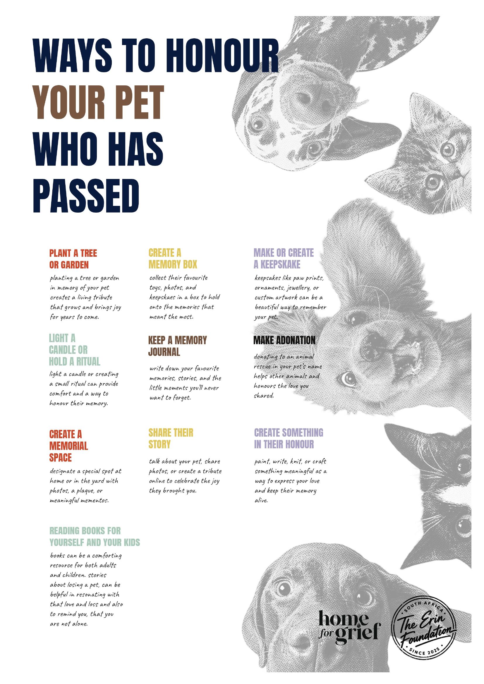 An infographic titled 'Ways to Honour Your Pet Who Has Passed,' from Home for Grief, with ten gentle suggestions: plant a tree or garden in their memory; make a donation to an animal rescue in their name; create a memory box of keepsakes; make or display a keepsake such as paw prints, photos, jewellery or custom artwork; create a memorial space at home or in the garden with photos, a plaque, or meaningful mementos; share their story by talking about them, sharing photos, or creating an online tribute; light a candle or hold a small ritual; create something in their honour, paint, write, knit or craft; keep a memory journal of favourite memories and small moments; and look to the sky, finding comfort in the stars and feeling their presence in a special way.